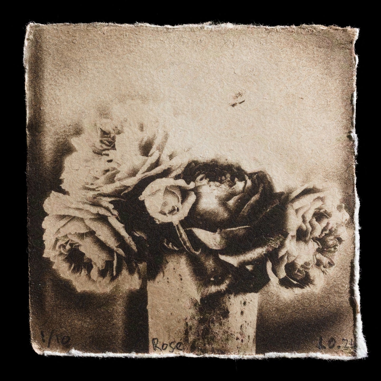 This print, titled "Rose" by Leonie Oakes, showcases a delicate black-and-white etching of roses in an antique vase. The intricate details of the flowers and leaves are rendered with precision, while the subtle shading creates depth and texture. The artist's skillful use of light and shadow brings the image to life, inviting the viewer to appreciate the beauty of the rose.