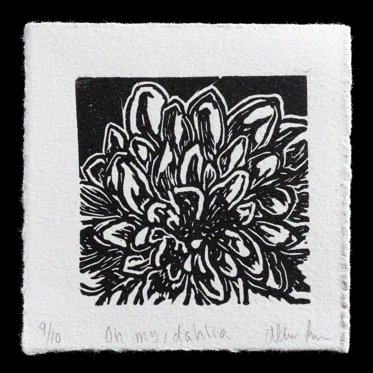 This captivating linocut print, titled "Oh my, dahlia" by Allison Rosh, showcases a stunning black-and-white depiction of a dahlia flower in bloom. The intricate design features a large central blossom surrounded by smaller ones, with the background painted a deep charcoal hue. The artist's signature and edition number are discreetly placed at the bottom of the print, adding an air of authenticity to this beautiful piece of art.