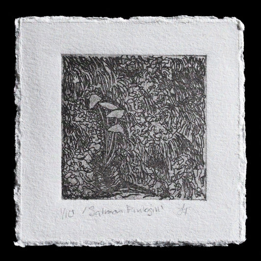 This etching, titled 'Salmon Pinkgill' by Lyndi Toohill, showcases a delicate composition featuring white mushrooms set against a backdrop of dark foliage, evoking a sense of mystery and intrigue. The artist's use of intaglio techniques creates a richly textured surface, inviting the viewer to explore the intricate details of the natural world.