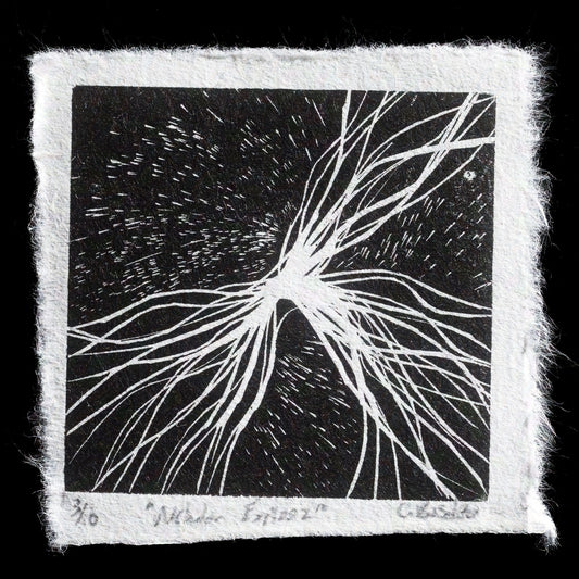 This print is a captivating piece titled 'Nebular Explosion' by Carl Basdeo. Created using wood engraving, it features a striking black background adorned with intricate white lines that evoke the dynamic energy of a celestial event. The artist's skillful use of contrast and texture brings to life the explosive force of a nebula, inviting viewers to contemplate the wonders of the universe.
