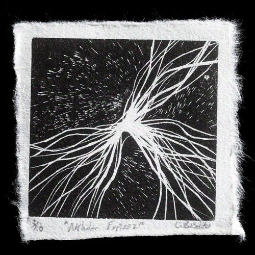 This print is a captivating piece titled 'Nebular Explosion' by Carl Basdeo. Created using wood engraving, it features a striking black background adorned with intricate white lines that evoke the dynamic energy of a celestial event. The artist's skillful use of contrast and texture brings to life the explosive force of a nebula, inviting viewers to contemplate the wonders of the universe.