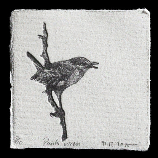 This print, titled "Pauls Wren" by Moira McTague, is a captivating piece created using drypoint techniques with TetraPak. The artwork features a striking black-and-white rendering of a wren perched on a branch.