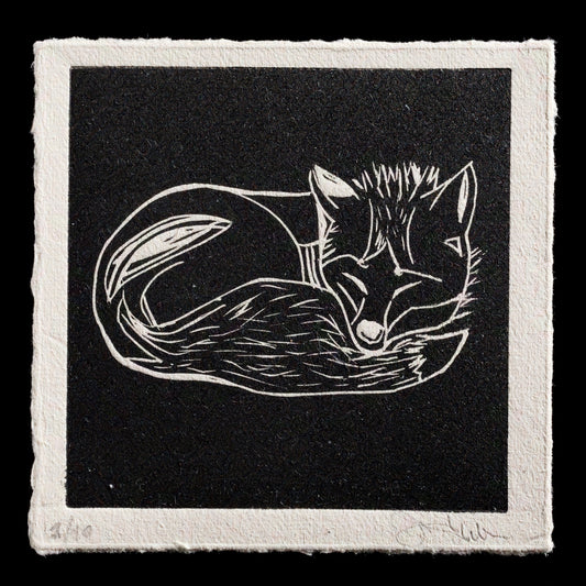 This captivating linocut print, titled 'sleeping fox-cub' by Yulia Milyakova, features a serene sleeping fox cub in black ink on paper with a white border. The fox is curled up, its head resting on its tail, surrounded by subtle white highlights that add depth to the composition.