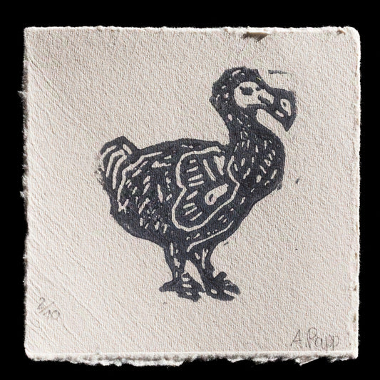 This linocut print, "Dodo" by Anne Rapp, showcases a striking black dodo bird with white accents against a light gray background. The bold design is presented on off-white paper with rough-cut edges, creating a unique aesthetic.