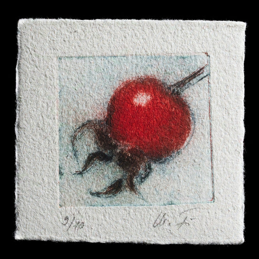 The artwork "Hagebutte" by Marlene Fischer showcases a delicate rosehip rendered in vibrant red hues against a light gray background. Fischer employs the unique technique of TetraPak to create this intricate piece, which is characteristic of her style. The print presents a detailed and lifelike depiction of the rosehip, inviting viewers to appreciate its natural beauty.