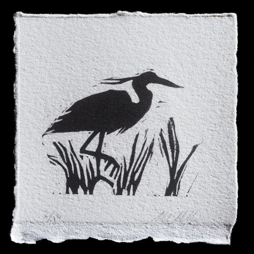 This linocut print, 'Great Blue Heron' by Mark Mulligan, features a majestic heron standing amidst reeds in a serene aquatic environment. The bird is depicted in bold black lines with subtle texture, while the background and surrounding foliage are rendered in soft gray tones, creating a striking contrast that highlights the subject's presence.