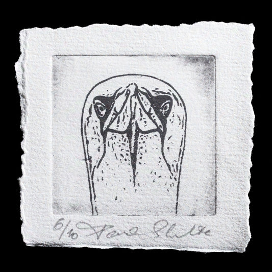 This print, 'Here's Looking for You: Basst�lpel, Gannet', showcases Paul Schulte's unique approach to intaglio printing. The black-and-white artwork features a stylized bird motif, characteristic of the artist's style.