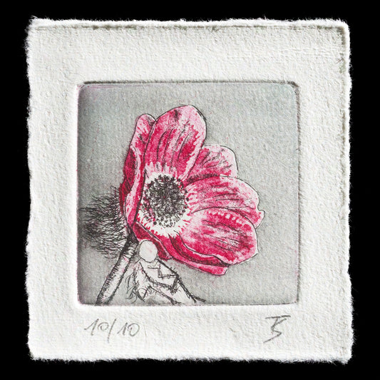 This captivating etching titled "Hoffnung" by Thomas Sychla showcases a delicate pink flower with intricate details against a gray background. 

The artist's use of aquatinting adds depth to the piece, while the subtle color palette creates an air of elegance and poise. This print is a testament to Sychla's skill in combining traditional techniques with modern sensibilities.