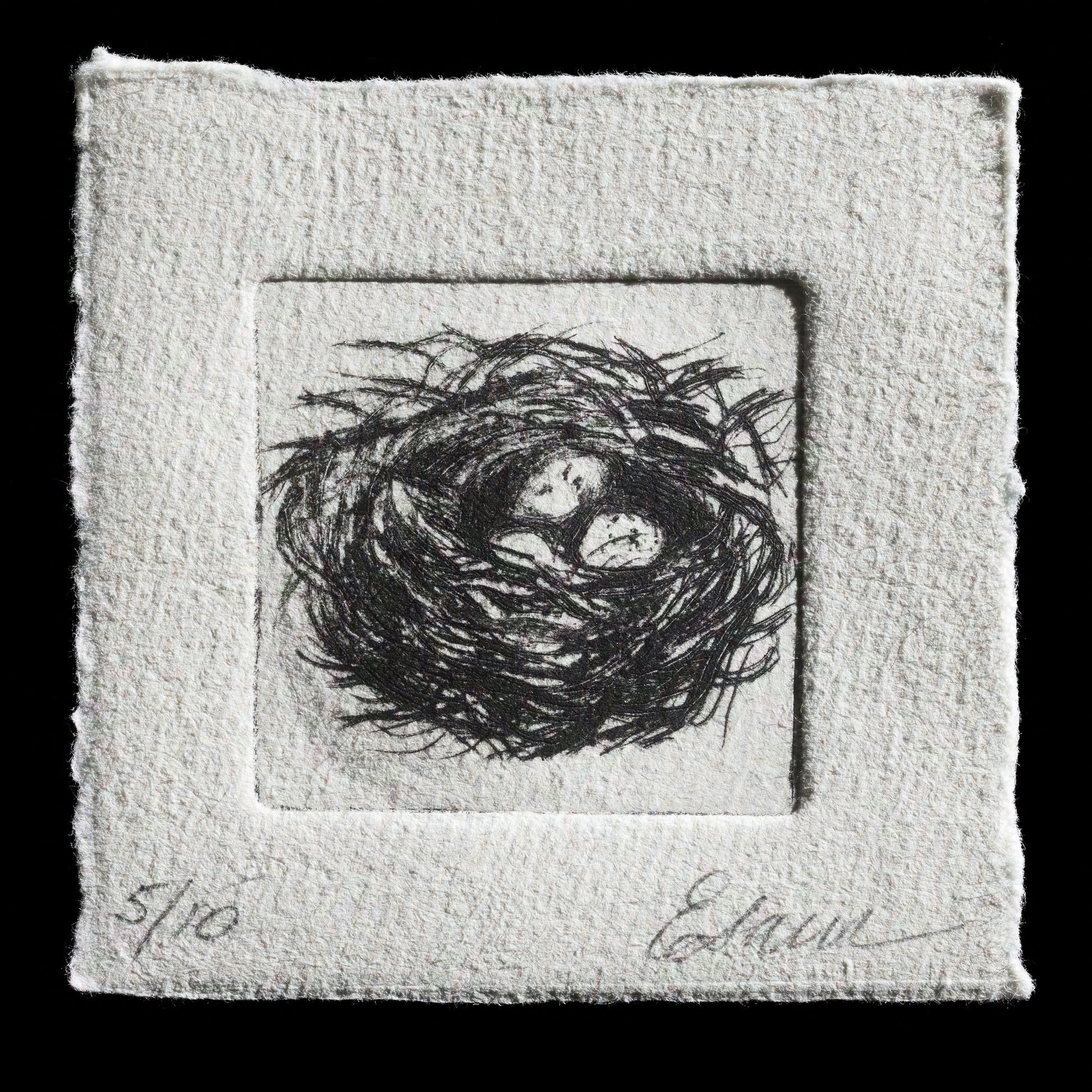 The artwork "Roost" by Ellen Sawicki is a captivating piece that showcases her mastery of intaglio and drypoint techniques. The print features a delicate nest with eggs, rendered in soft yet striking tones that evoke a sense of serenity and vulnerability.