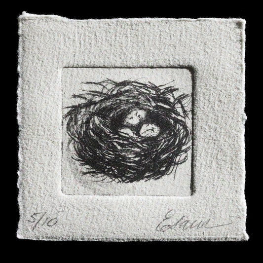 The artwork "Roost" by Ellen Sawicki is a captivating piece that showcases her mastery of intaglio and drypoint techniques. The print features a delicate nest with eggs, rendered in soft yet striking tones that evoke a sense of serenity and vulnerability.