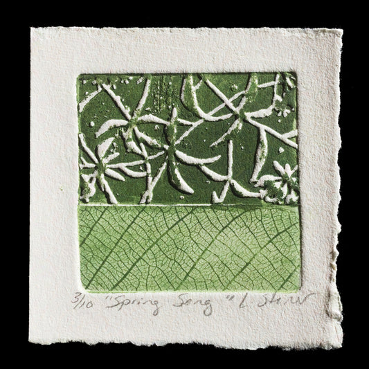 This print, "Spring Song" by Liz Steiner, showcases a beautiful green floral pattern on textured paper, crafted using intaglio and etching techniques.