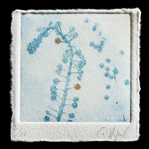 This captivating print, titled 'Goldteschel,' showcases a delicate arrangement of gold flowers against a soft blue background. Created using the technique of etching, the artist has skillfully rendered intricate details that invite the viewer to explore its beauty. The subtle interplay between color and texture adds depth to this exquisite piece.