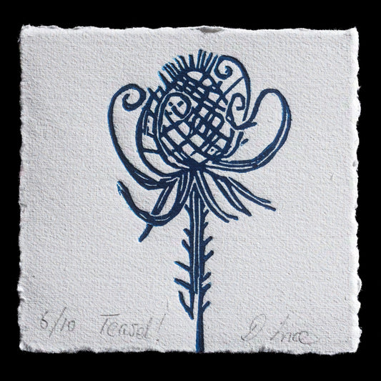 This linocut print, 'Teasel' by DeniseInce, features a striking teal-blue flower with intricate details against a textured white background. The artist's signature is discreetly placed in pencil at the bottom right corner.