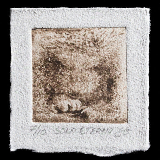 This print, titled 'sono eterno', is a work by Jeanneke Grimbergen, crafted using photopolymer techniques. The image features a predominantly light-colored background with subtle darker elements. The overall aesthetic suggests a soft, muted quality, evoking an atmosphere of serenity and contemplation.