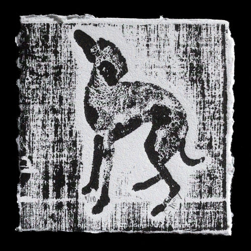 This monochromatic relief print by Claire McVinnie features an Italian Greyhound in a dynamic pose against a textured white background. The dog is depicted with its head tilted upwards and legs bent, showcasing its agility. The bold black ink creates a striking contrast on the white paper, while the rough edges suggest a hand-torn finish.