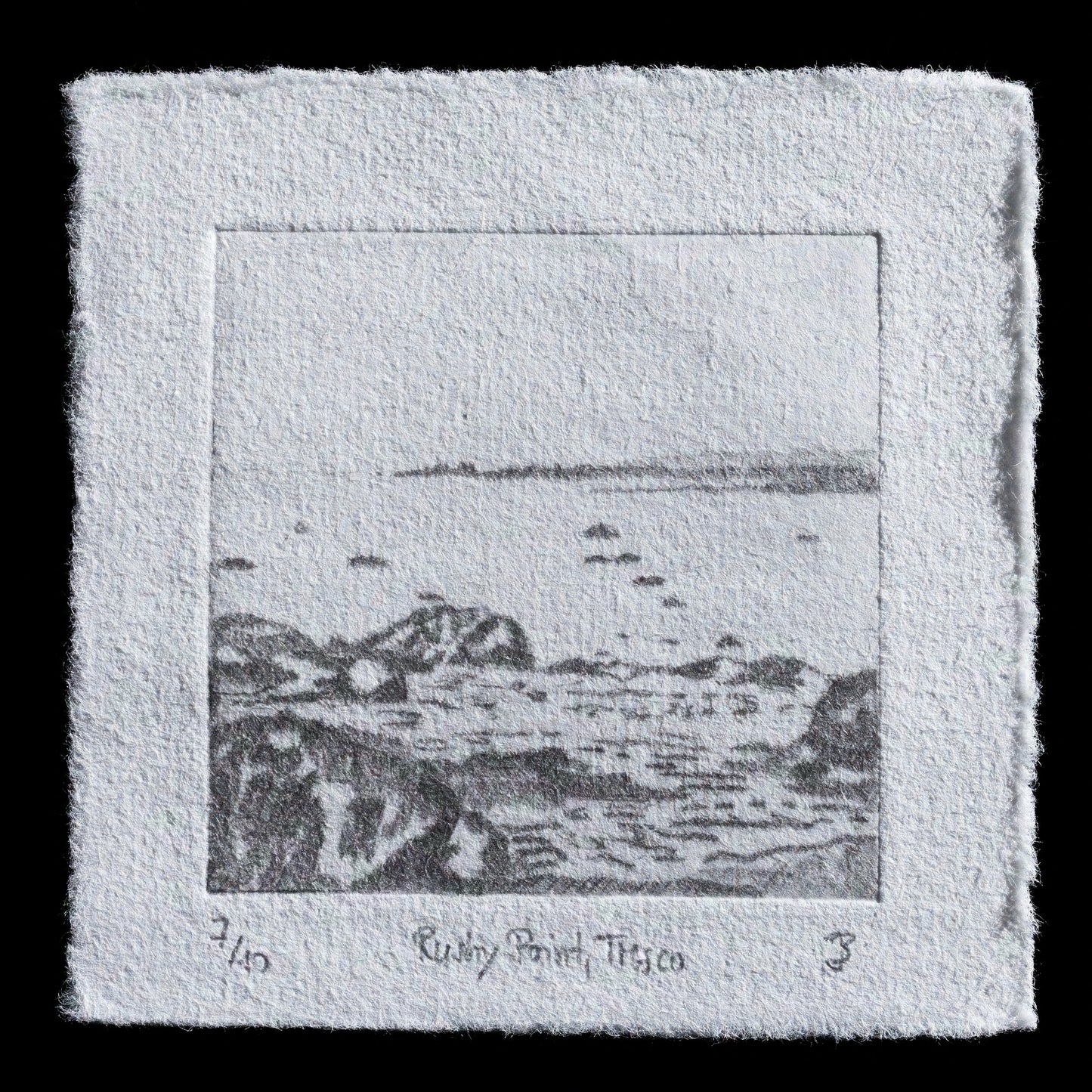 This etching, titled 'Rushy Point, Tresco, Isles of Scilly' by Julia Bauer, showcases a serene landscape scene.

**Visual Details**

* The etching is rendered in shades of gray, with subtle tonal variations.
* It features a rocky coastline, trees, and distant hills, evoking the tranquility of Rushy Point on the Isle of Tresco.

The print's simplicity and use of texture create a contemplative atmosphere.
