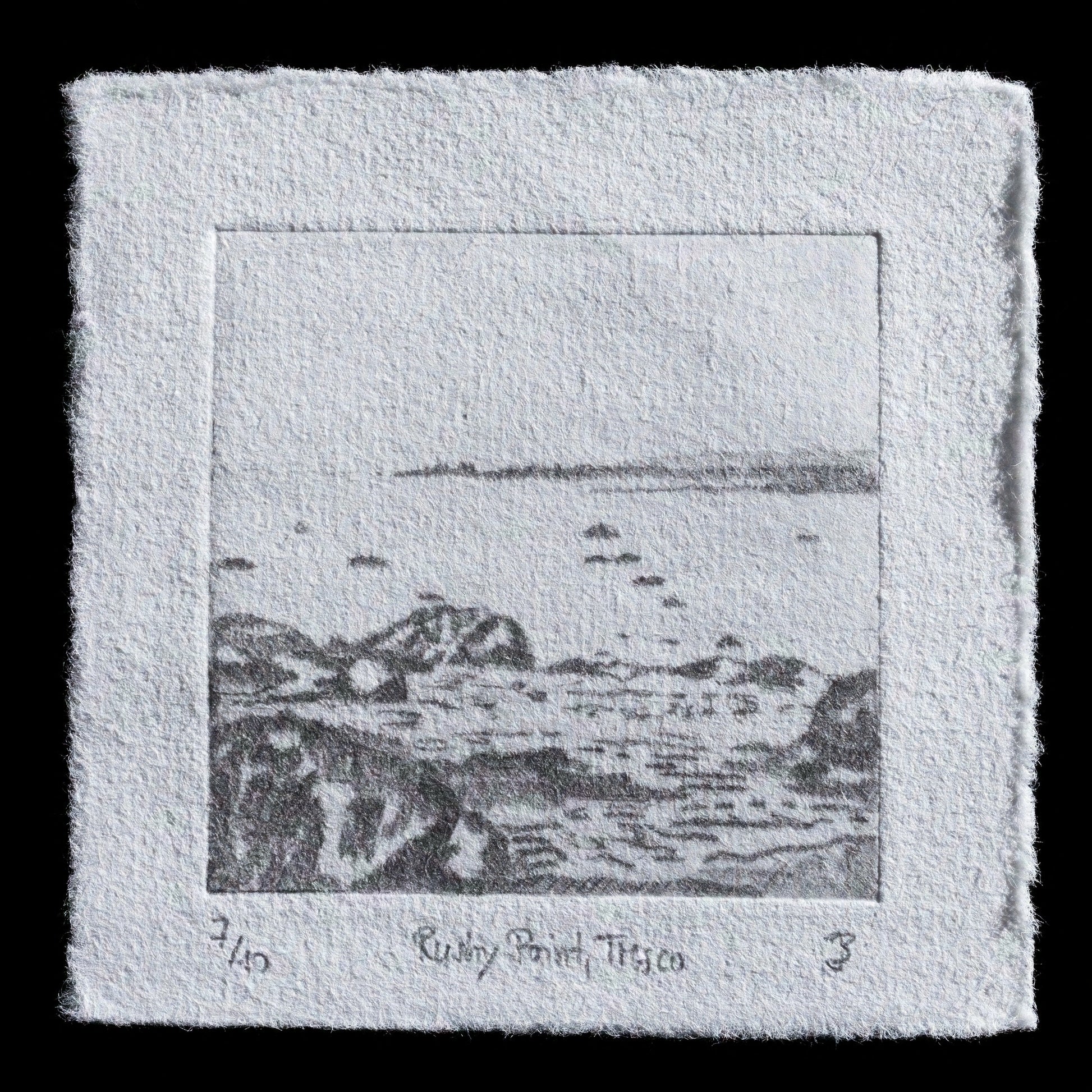 This etching, titled 'Rushy Point, Tresco, Isles of Scilly' by Julia Bauer, showcases a serene landscape scene.

**Visual Details**

* The etching is rendered in shades of gray, with subtle tonal variations.
* It features a rocky coastline, trees, and distant hills, evoking the tranquility of Rushy Point on the Isle of Tresco.

The print's simplicity and use of texture create a contemplative atmosphere.