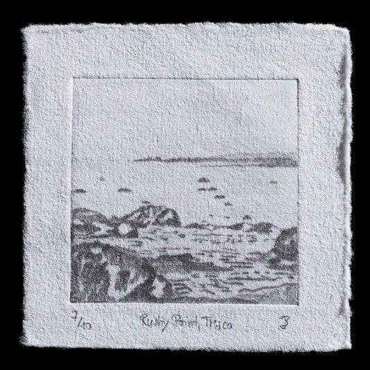 This etching, titled 'Rushy Point, Tresco, Isles of Scilly' by Julia Bauer, showcases a serene landscape scene.

**Visual Details**

* The etching is rendered in shades of gray, with subtle tonal variations.
* It features a rocky coastline, trees, and distant hills, evoking the tranquility of Rushy Point on the Isle of Tresco.

The print's simplicity and use of texture create a contemplative atmosphere.