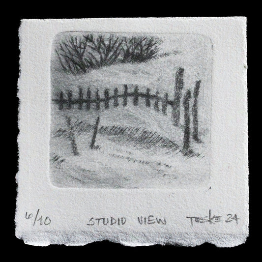 This print, titled 'Studio View' by Sidne Teske, showcases a captivating landscape featuring trees and grass. Executed in intaglio technique, it presents a soft gray palette with subtle hints of green. The composition is characterized by delicate lines and gentle textures, evoking a serene atmosphere reminiscent of the natural world.
