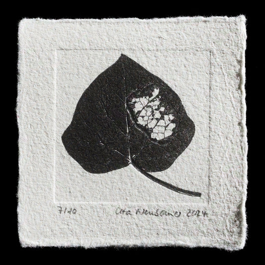 The image depicts a leaf printed on paper, with visible cracks in its center.

**Print Details**

* Title: "efeu/ivy - everything fades away"
* Artist: Uta Neubauer
* Technique: Relief print using TetraPak packaging material
* Color Scheme:
	+ Leaf: dark brown
	+ Background: off-white paper