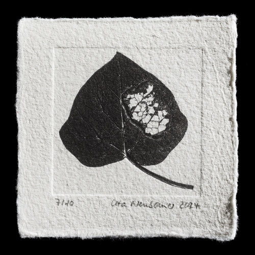 The image depicts a leaf printed on paper, with visible cracks in its center.

**Print Details**

* Title: 