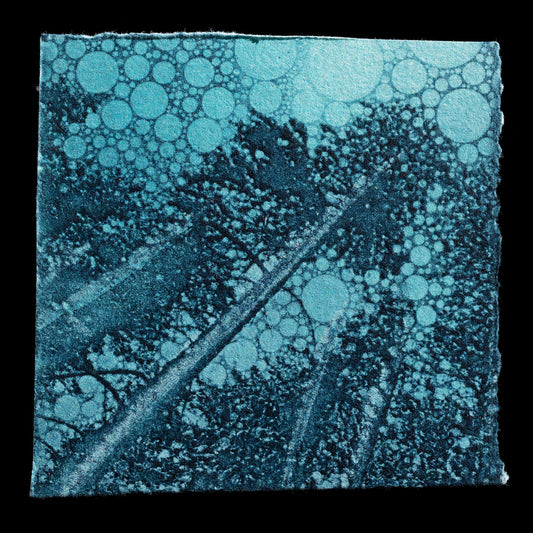 This print, "Tree Gazing" by Heather Urness, features a serene landscape with trees set against an indigo background, punctuated by vibrant turquoise hues that evoke a sense of wonder and enchantment. The artist's use of Solarplate relief printing techniques creates a unique texture and depth to the print.