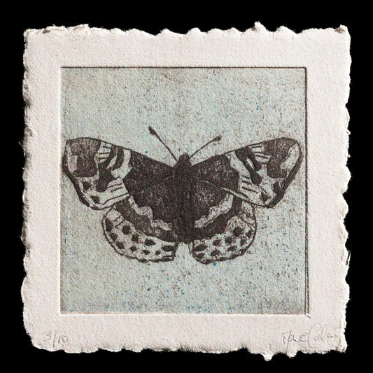 This print, "Messager" by Marie Calmet, showcases a striking butterfly with its wings spread wide against a light blue background. The detailed illustration features intricate black lines and subtle hints of brown, evoking a sense of delicate beauty.