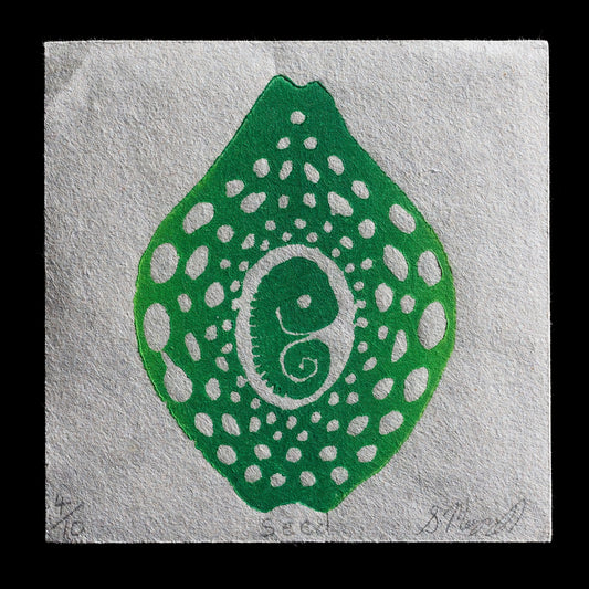 This linocut print, titled 'Seed' by Shannon Moynagh, features a stylized green seed shape with white dots and lines. The intricate design showcases the artist's attention to detail and mastery of relief printing techniques. The use of contrasting colors creates visual interest, while the overall composition exudes a sense of growth and potential.