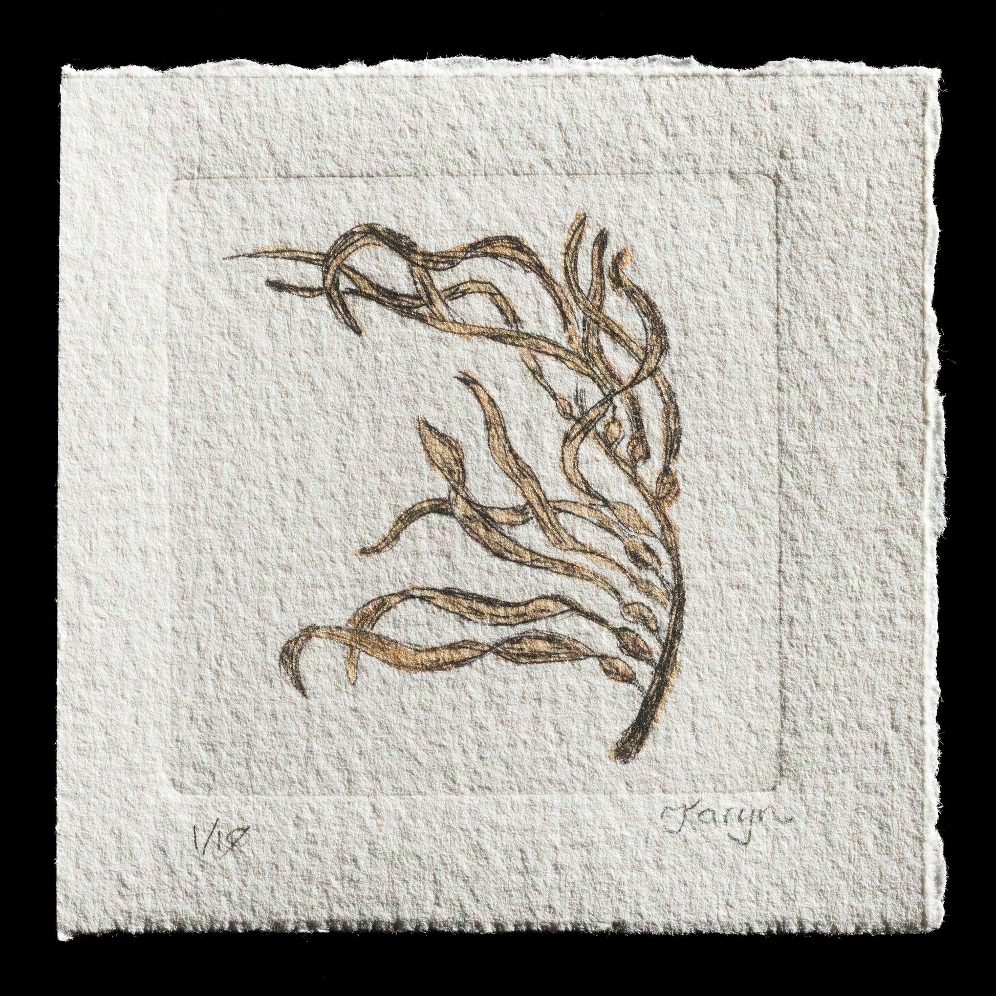 "Seaweed Serendipity" by Karyn Murphy