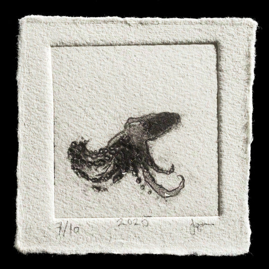 "ghost octopus" by Joel Edgar Anderson