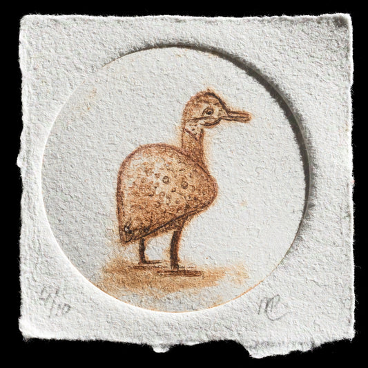"Little duck" by Mirjam Coolen