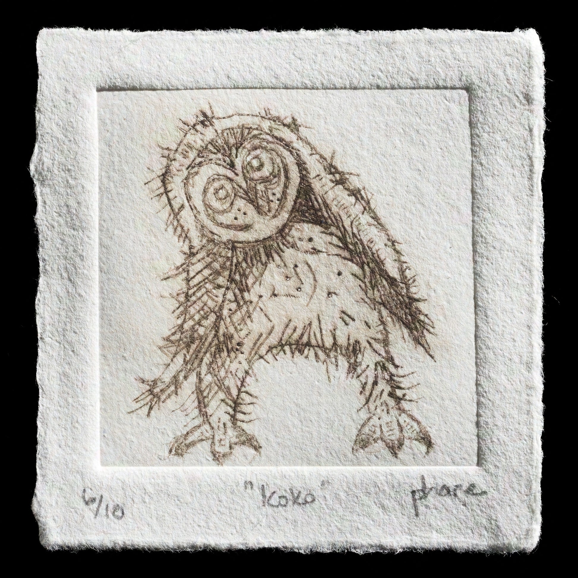 "Koko" by Merrell-Ann Phare