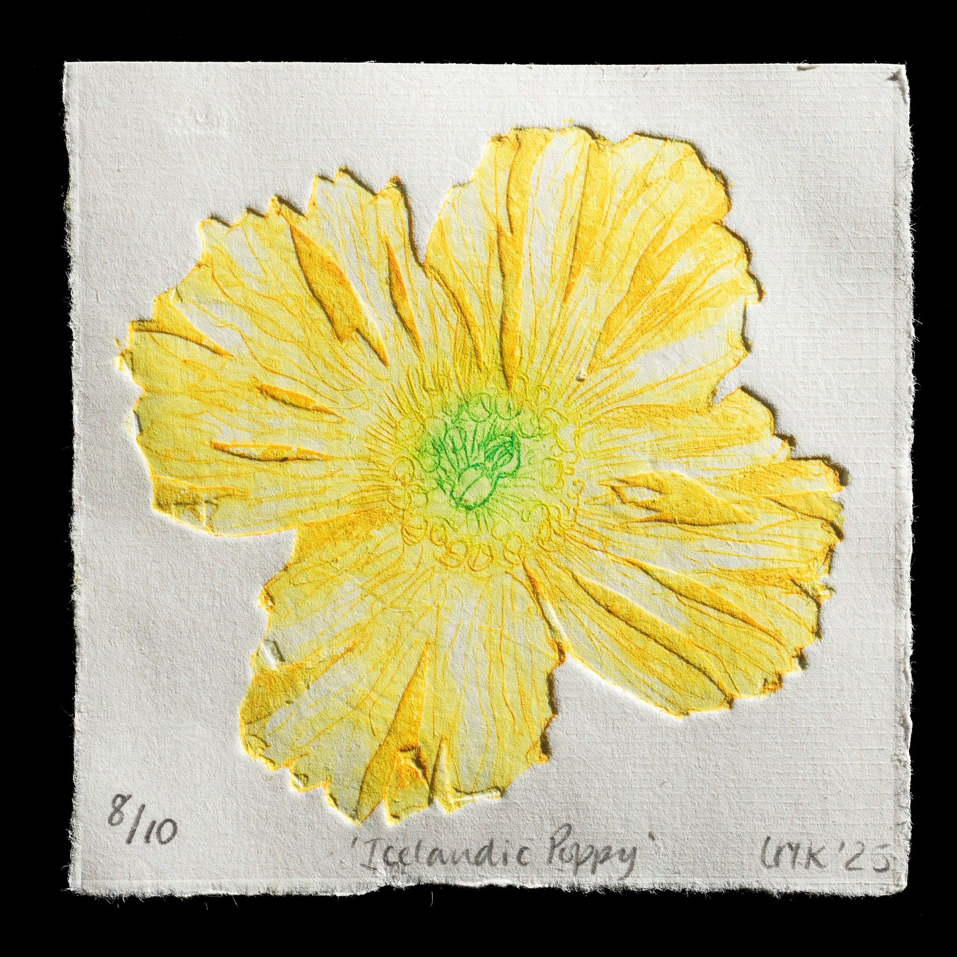 "Icelandic Poppy" by Lesley M Kingsley