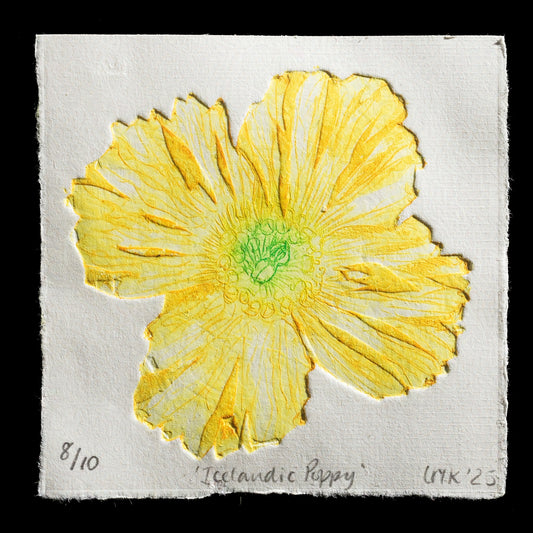 "Icelandic Poppy" by Lesley M Kingsley