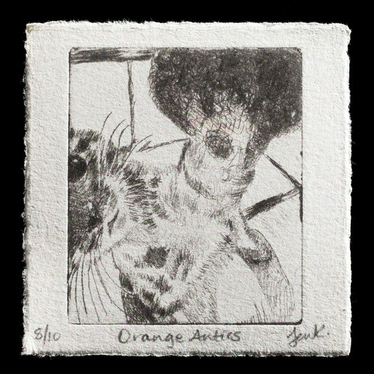 "Orange Antics" by Jennifer Reda