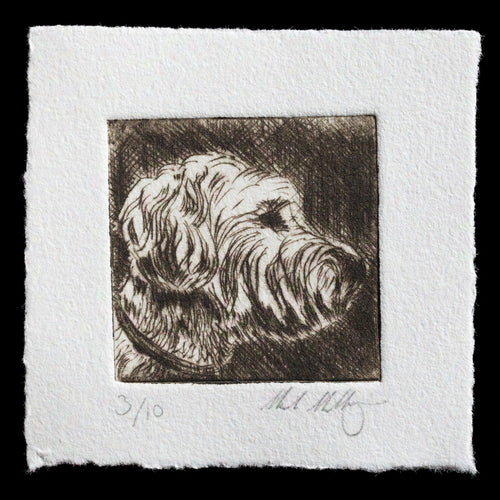 This print, 'Portrait of a Wheaton Terrier' by Mark Mulligan, showcases the artist's use of drypoint technique in capturing the subject's likeness.