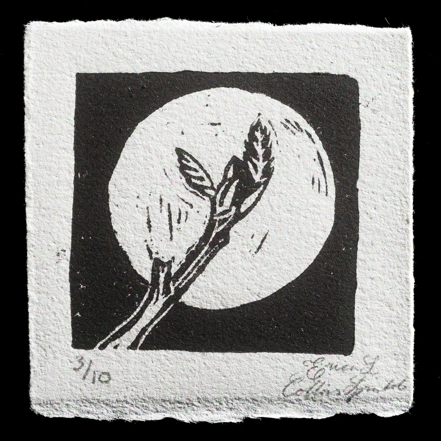 "Moonlight Leafout" by Erica Collins Sprinkle