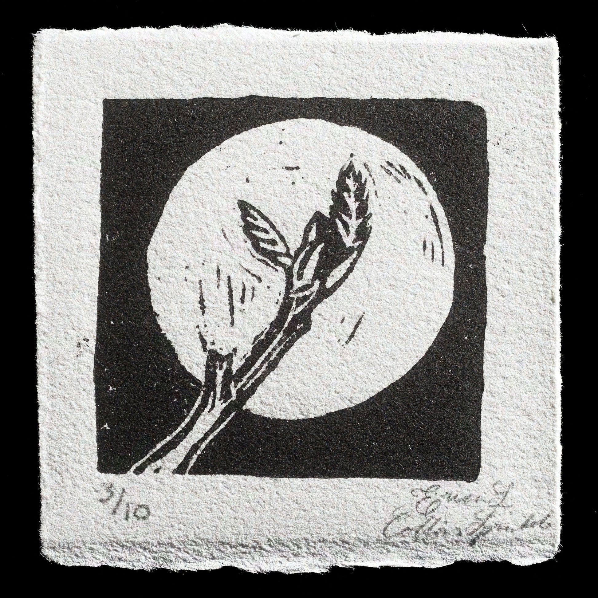 "Moonlight Leafout" by Erica Collins Sprinkle