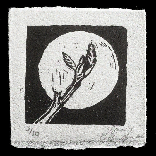 "Moonlight Leafout" by Erica Collins Sprinkle