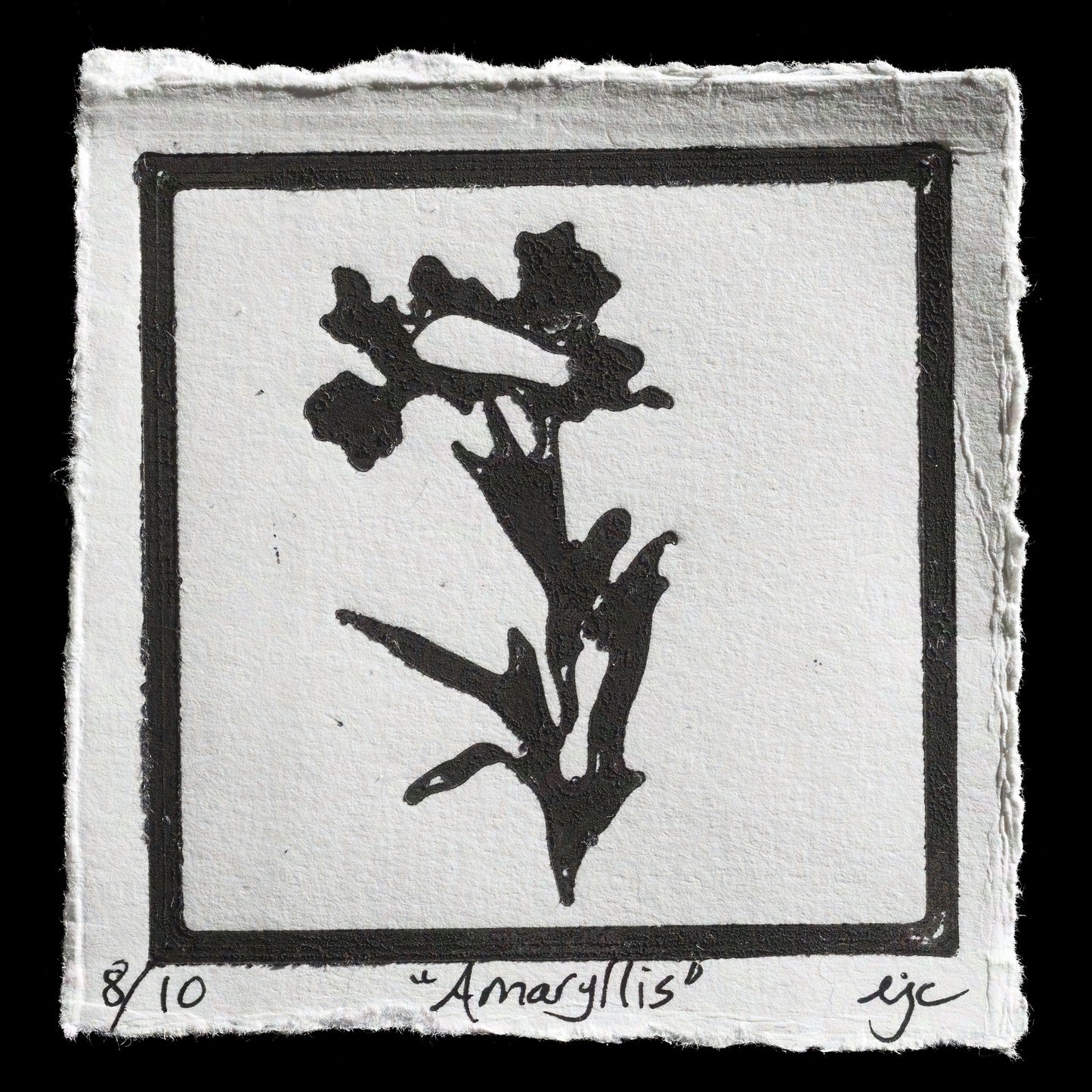 "Amaryllis" by Ellen J Craft