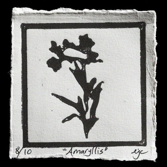 "Amaryllis" by Ellen J Craft