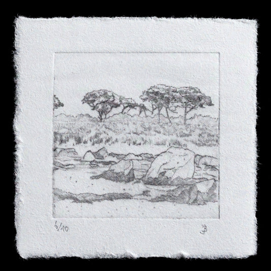 This captivating print, titled "Rushy Porth, Tresco, Isles of Scilly", is a testament to Julia Bauer's artistic mastery. Created using the drypoint technique, this piece showcases her ability to capture the essence of its subject matter with precision and nuance. The print's intricate details and subtle color palette evoke a sense of serenity and tranquility, inviting viewers to immerse themselves in the natural beauty it represents.
