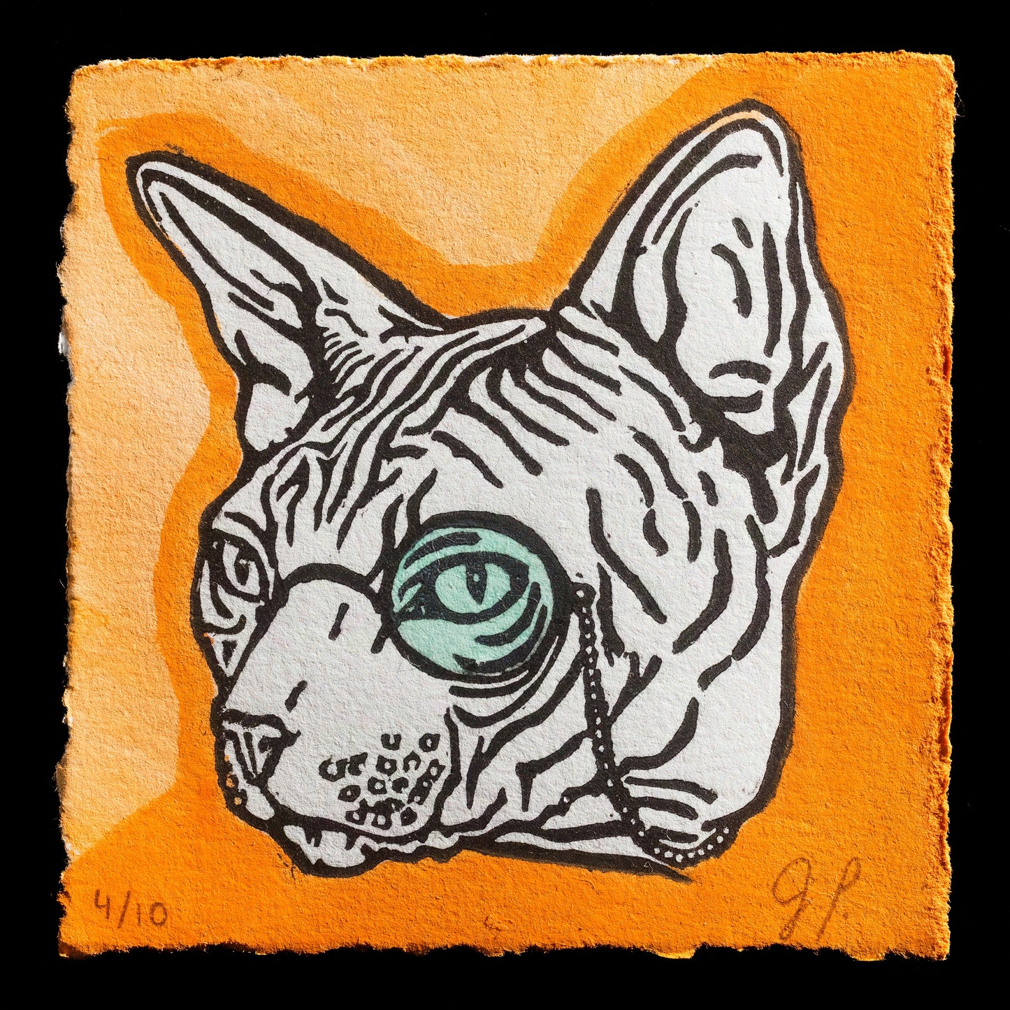 "Hercule" by Julie Pommainville