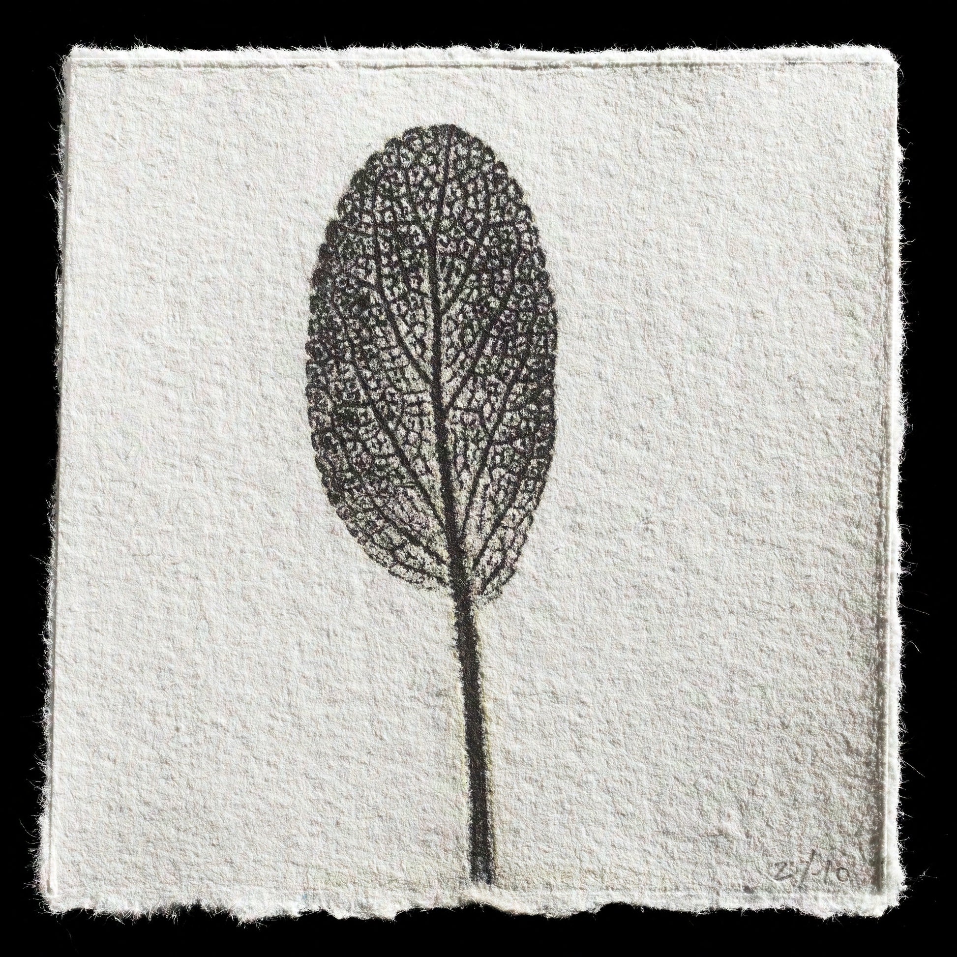 "crecer (wachsen)" by Julia Helene Kellermann