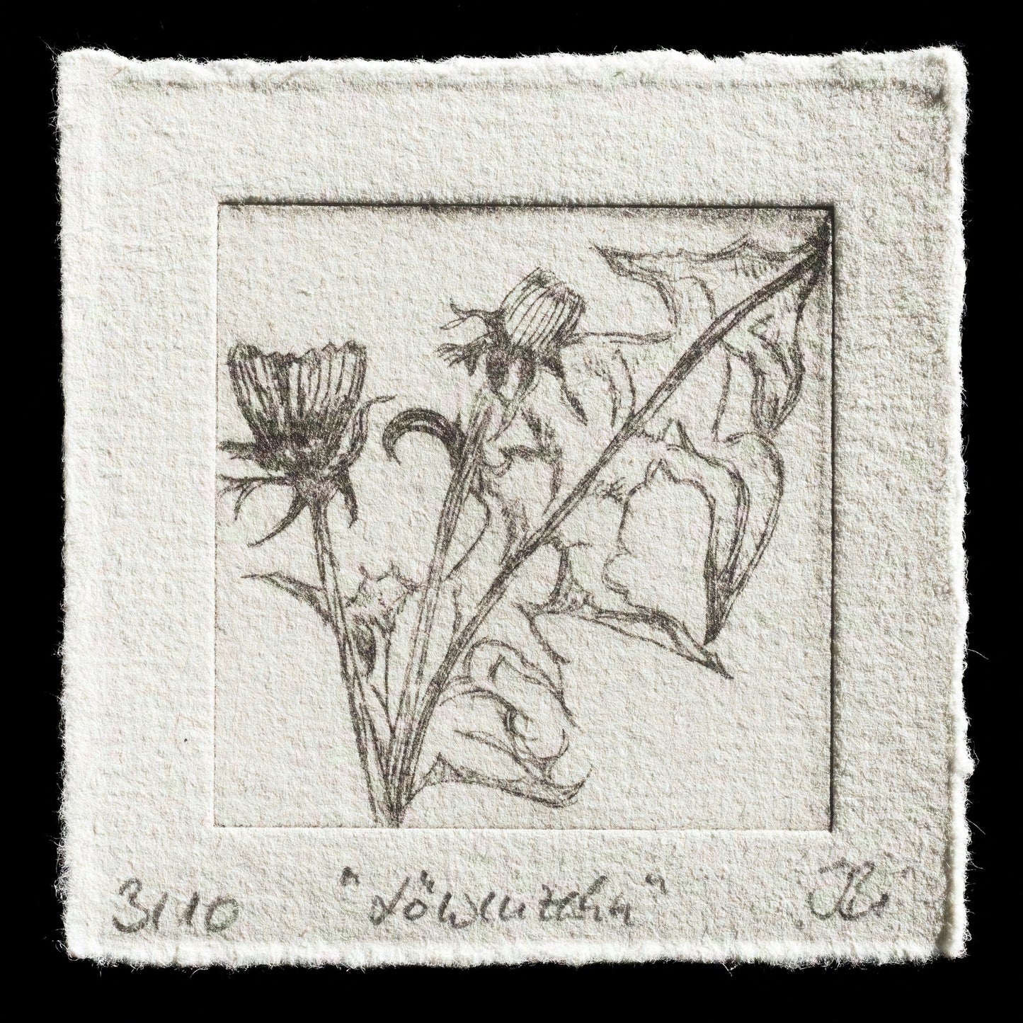 "Löwenzahn" by Inga Binder
