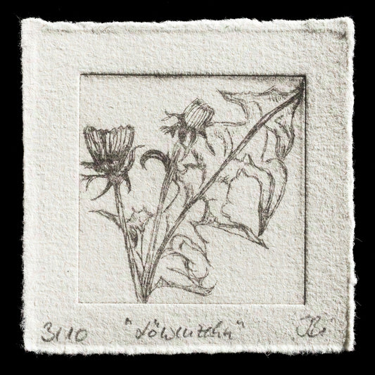 "Löwenzahn" by Inga Binder