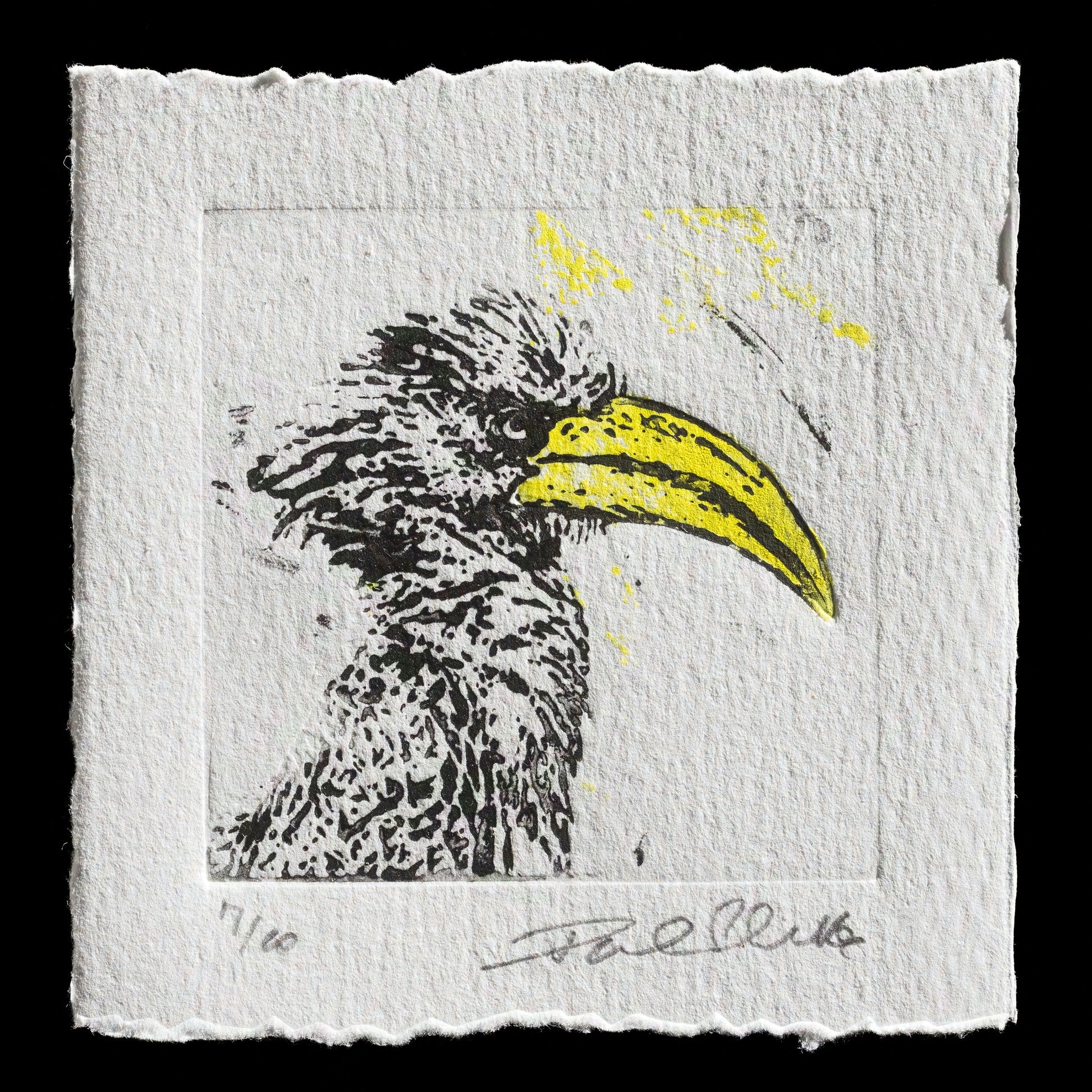 "Here´s looking at you: Gelbschnabeltoko, Eastern yellow-billed hornbill" by Paul Schulte