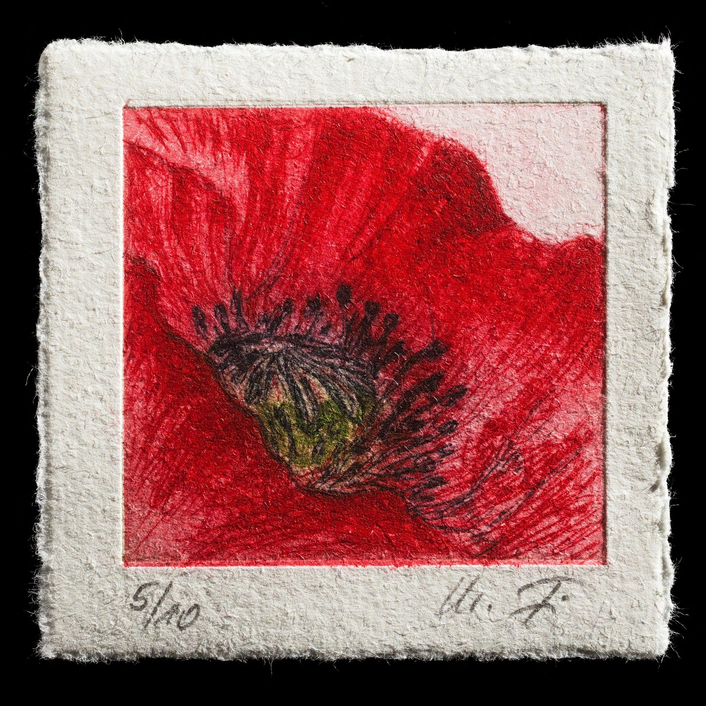 "Mohnblüte " by Marlene Fischer
