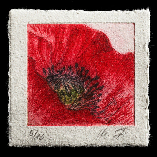 "Mohnblüte " by Marlene Fischer