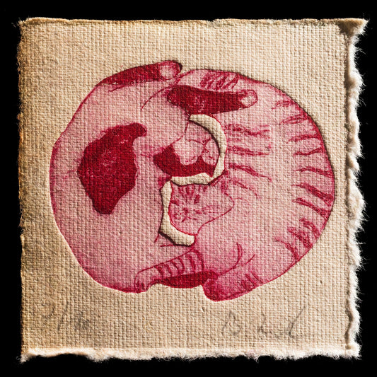 "Circularity" by Birgit Zartl